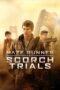 Maze Runner: The Scorch Trials (2015)